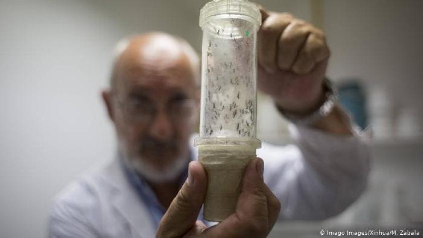 Argentina: dengue y sarampión se cobran sus dos primeras muertes