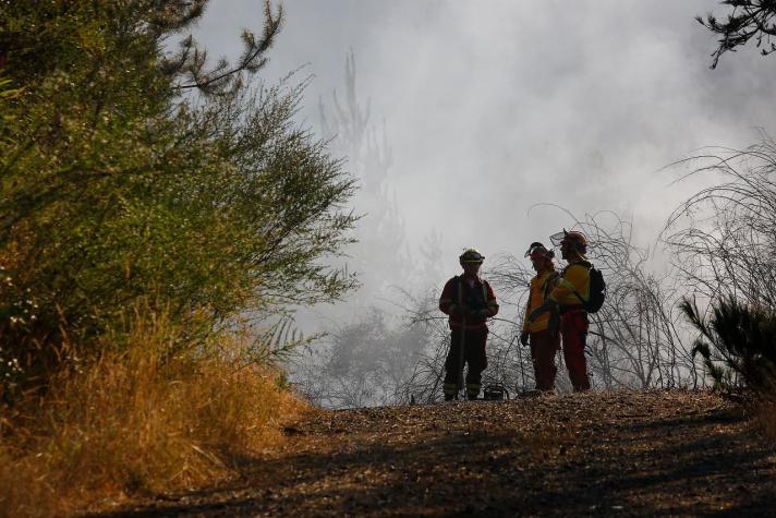 Región de Los Ríos: Alerta Amarilla para la comuna de Mariquina por incendio forestal "Alepue"