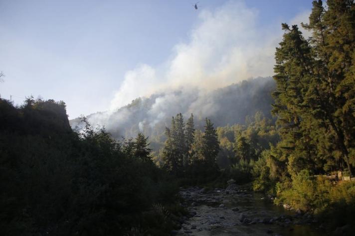 Más de 10 mil hectáreas consumidas: Conaf mantiene alerta roja por incendio forestal en el Maule