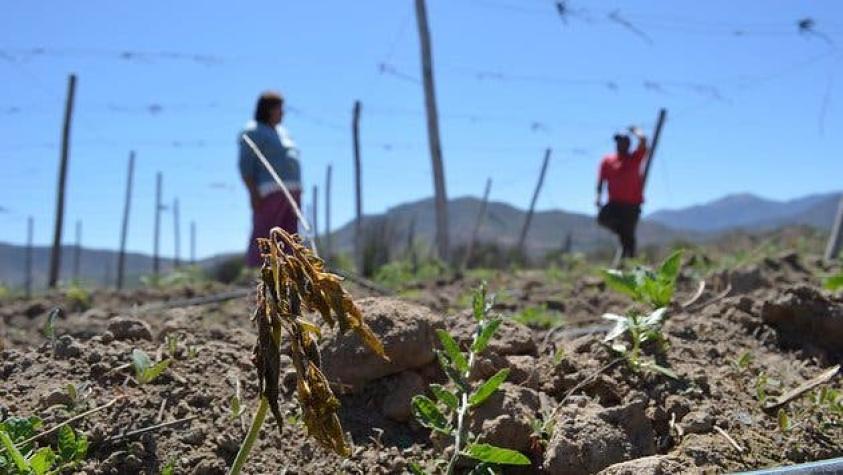 Declaran zona de emergencia agrícola en ocho comunas de Ñuble por escasez hídrica