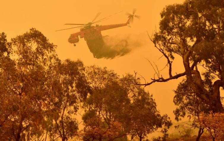 Australia desarrolla satélite para predecir zonas de peligro de incendios forestales