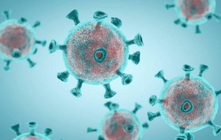 Coronavirus cumple una semana en Chile y casos confirmados suben a 17