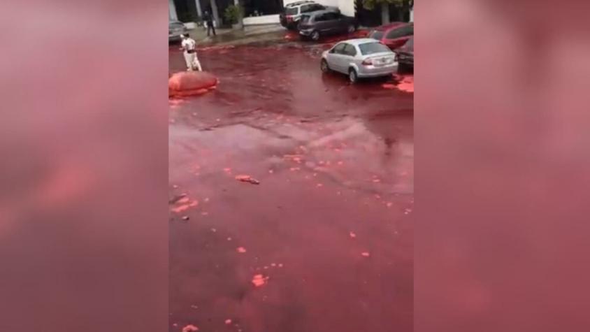 Zona residencial argentina se inunda con 5 mil litros de sangre tras reventarse tanque de matadero