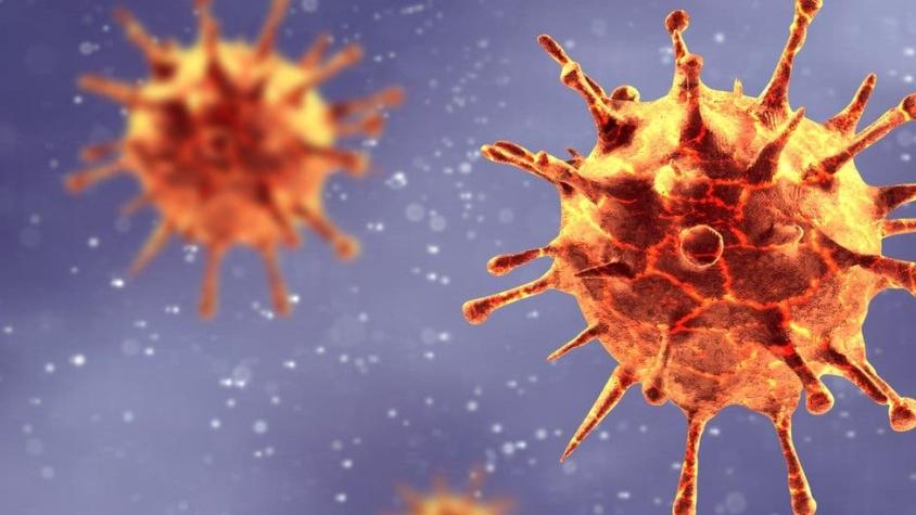Coronavirus: por qué el COVID-19 se llama así y cómo se nombran los virus y enfermedades infecciosas