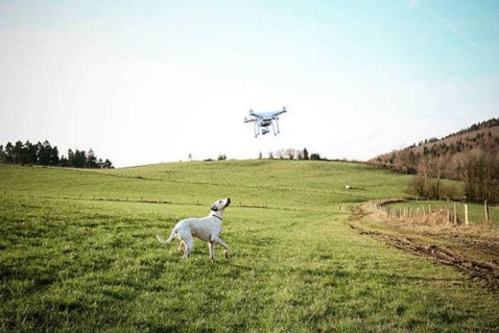 [VIDEO] Un hombre pasea a su perro con un drone para respetar la cuarentena