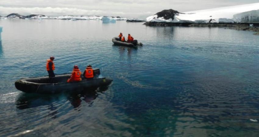 ¿Por qué la Península Antártica estaría sufriendo una "invasión" de choritos?