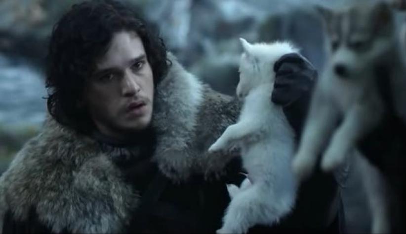 Game of Thrones: Muere lobo de Bran Stark tras sufrir enfermedad terminal