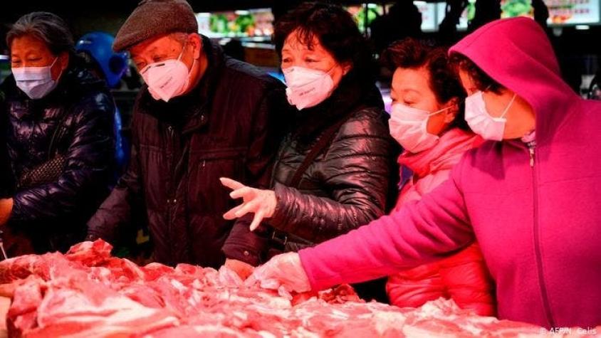 Ciudad china prohíbe comer animales silvestres