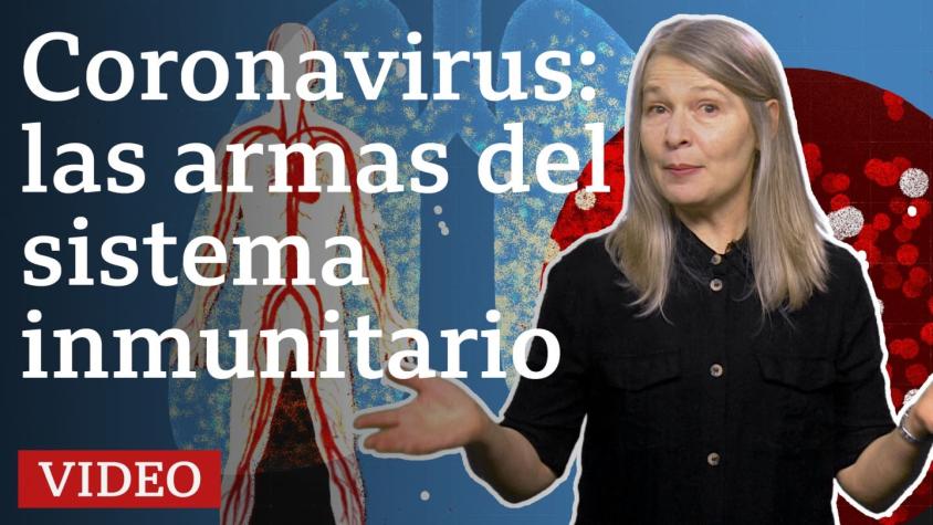 [VIDEO] Qué armas tiene el sistema inmunitario para defenderte del coronavirus