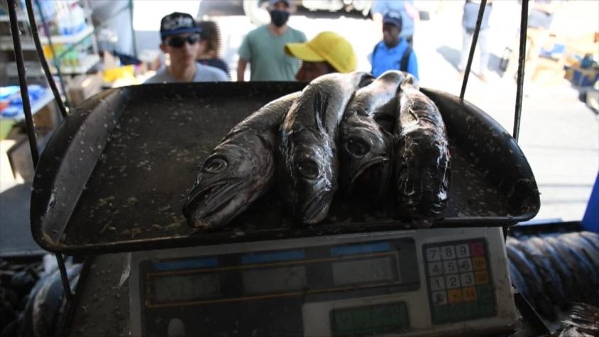 [VIDEO] Pescaderías hacen envíos de sus productos a las casas