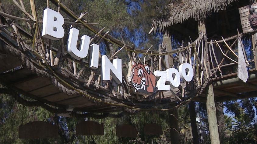 [VIDEO] Buin Zoo dejó de recibir más de 100 mil visitas: disponen de 12 animales para apadrinar