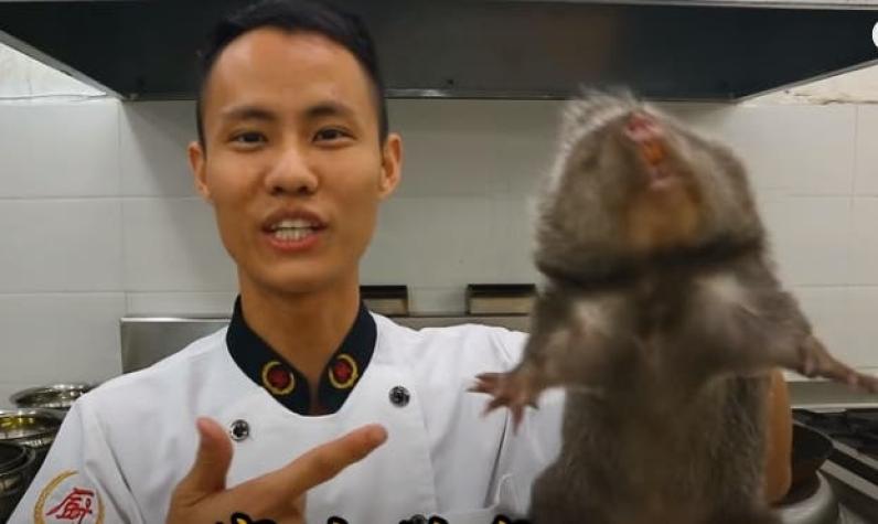 China prohíbe consumo de ratas salvajes que habían sido criadas para vender antes del coronavirus