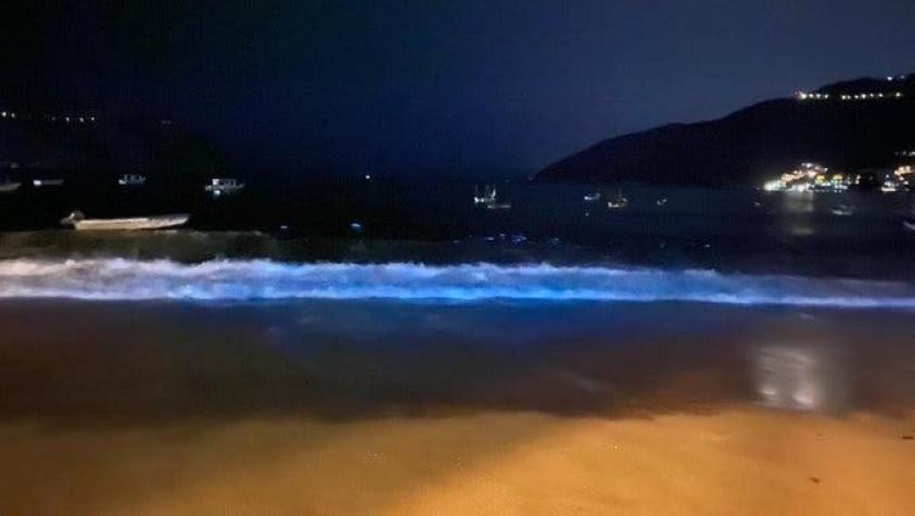 Playa en Acapulco sorprende al brillar con bioluminiscencia: ¿De qué se trata este fenómeno?