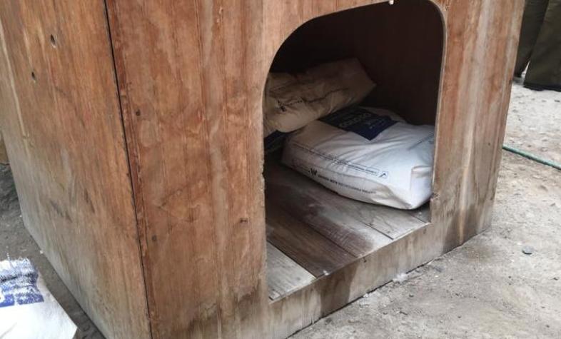 Sujeto robó 150 kilos de harina y fue capturado por Carabineros tras dejar rastro en el piso