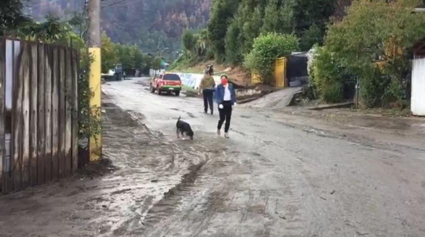 Decretan Alerta Amarilla en Chiguayante tras deslizamiento de tierra