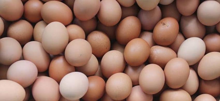 3 emprendimientos para que puedas comprar huevos con delivery