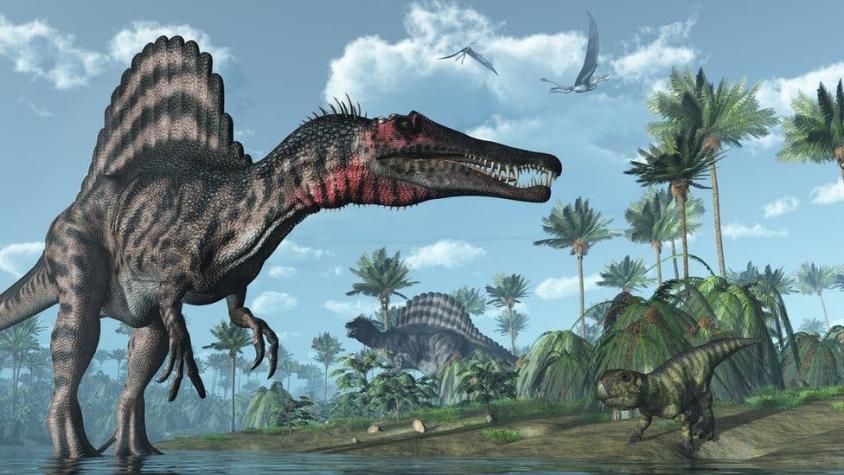 El lugar en el que convivieron 3 de los dinosaurios carnívoros más grandes que habitaron la Tierra