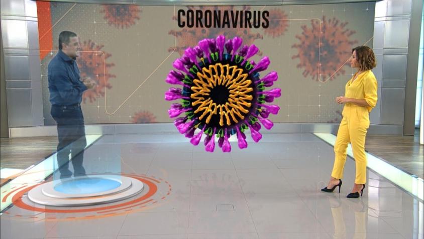 [VIDEO] T13 Virtual: Ramón Ulloa explica cómo se defiende nuestro cuerpo del coronavirus