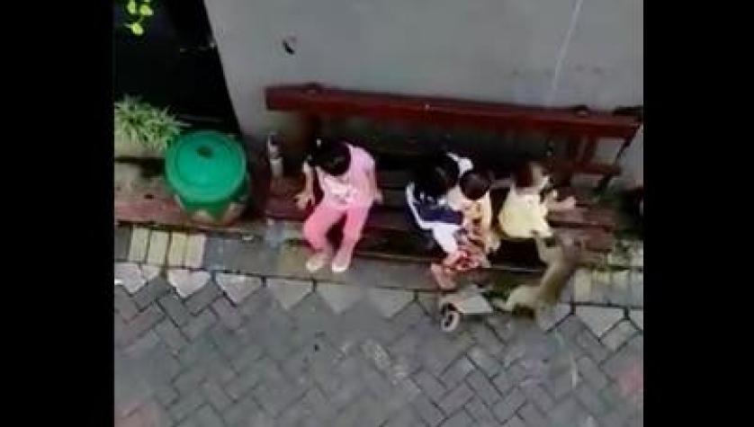 La cruel verdad tras el video del mono sobre una motocicleta que trató de "secuestrar" a una niña
