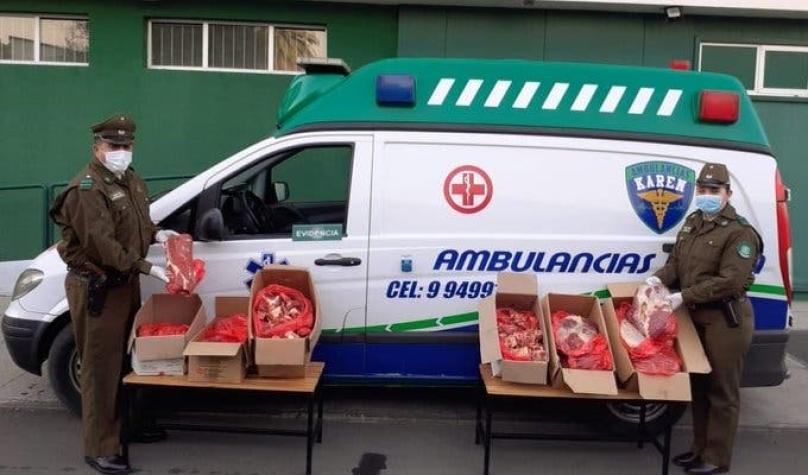 Hermanos detenidos por transportar 160 kilos de carne en ambulancia para evadir control policial