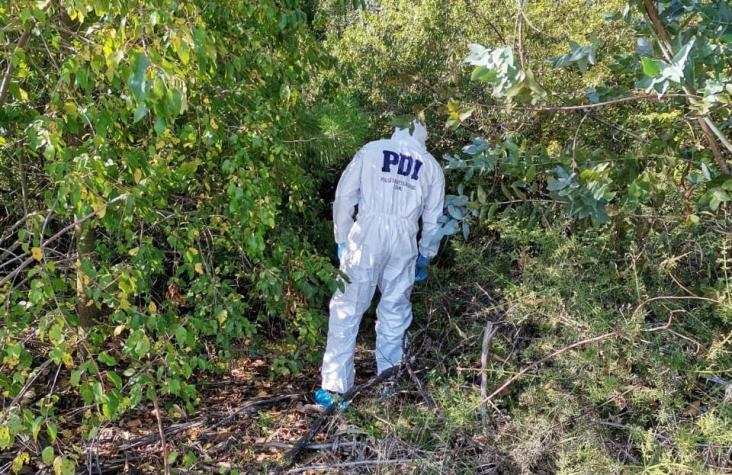 Cabrero: Investigan hallazgo de cuerpo en descomposición en la región del Biobío