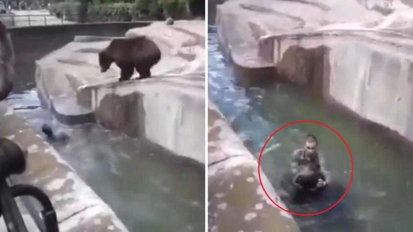[VIDEO] Joven en estado de ebriedad quiso ahogar a oso en un zoológico de Polonia