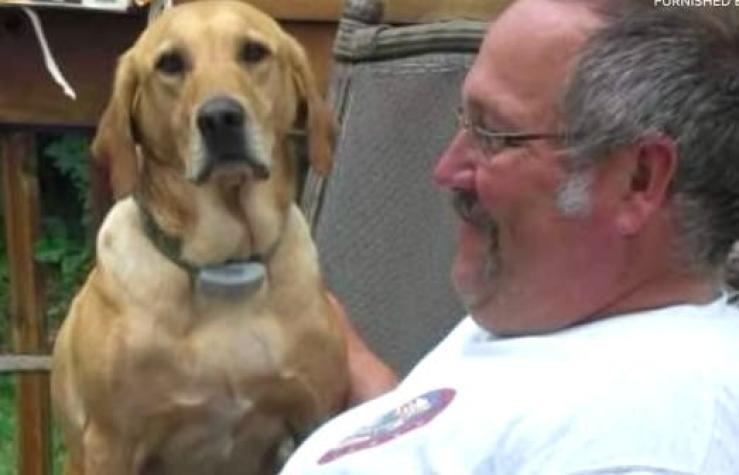 Mejores amigos por siempre: Bombero muere una hora después que su perro