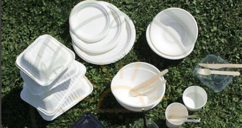 Adiós plástico: El exitoso negocio de envases compostables para delivery