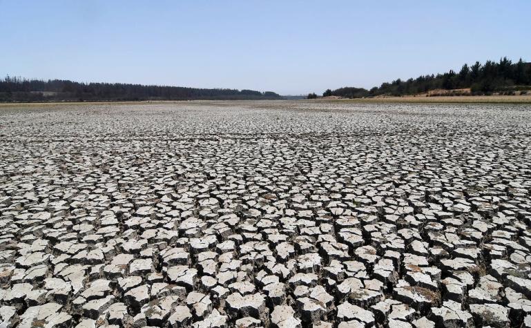 2020 apunta a ser uno de los años más secos en la historia para la zona central