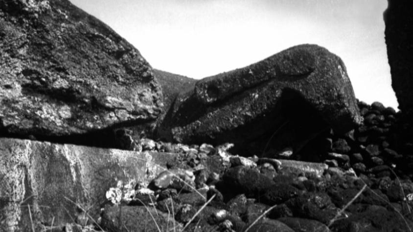 [VIDEO] Terremoto de 1960, tsunami dejó "pistas" para restaurar monumento de Rapa Nui