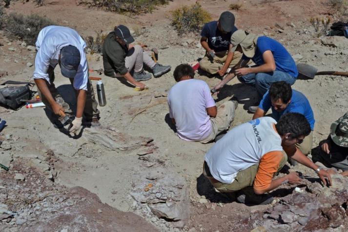 Hallan en Argentina fósil de rana de dos millones de años