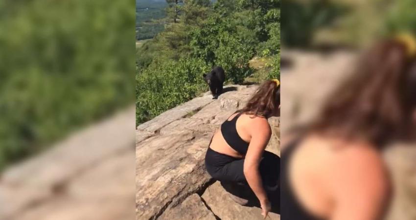 ‘La reina de la calma’: reacción de una joven frente a un oso negro se hizo viral en redes sociales