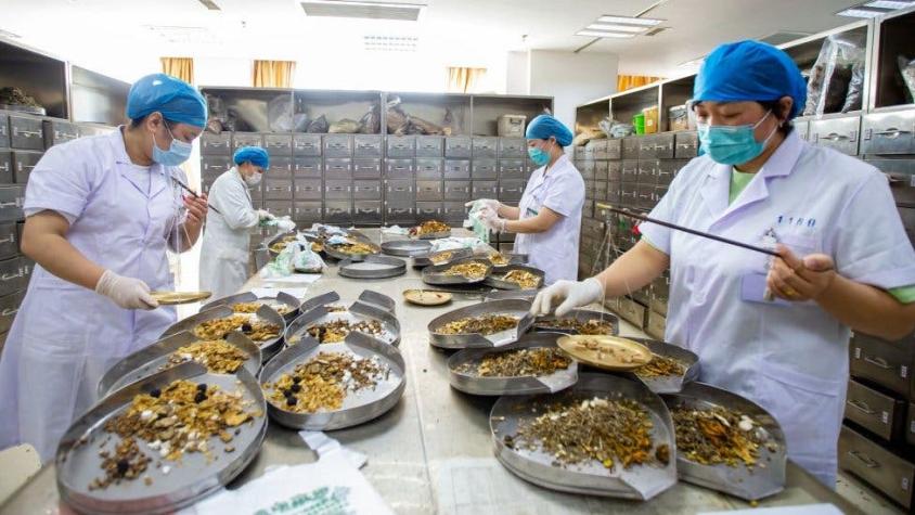 Coronavirus: cómo China está impulsando el uso de su medicina tradicional ante la pandemia