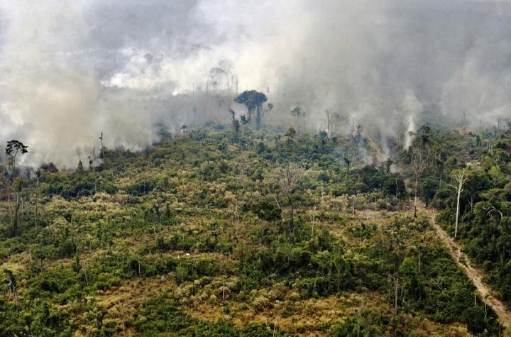 El peor junio en 13 años para la Amazonía brasileña por los incendios