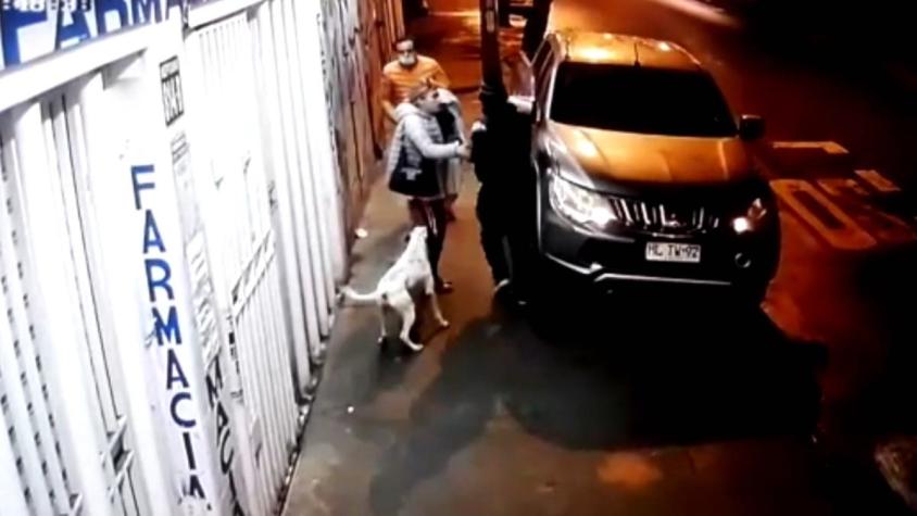 [VIDEO] Ladrones usan perro como arma: animal ataca mientras delincuentes roban