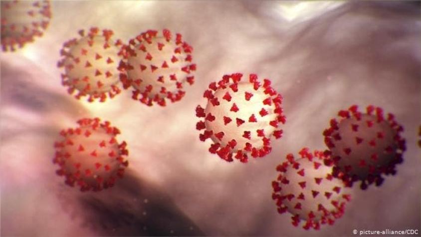 Cepa actual de coronavirus se propaga más rápido que la original según estudio