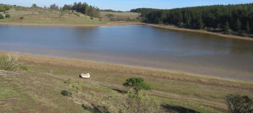 Lagunas de la Reserva Nacional El Yali vuelven a acumular agua luego de casi dos años