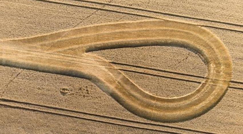 Aparición de símbolo sobre campos de trigo impacta en Francia