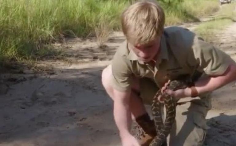 [VIDEO] Hijo de Steve Irwin, el "cazador de cocodrilos", es mordido por una pitón en su rostro