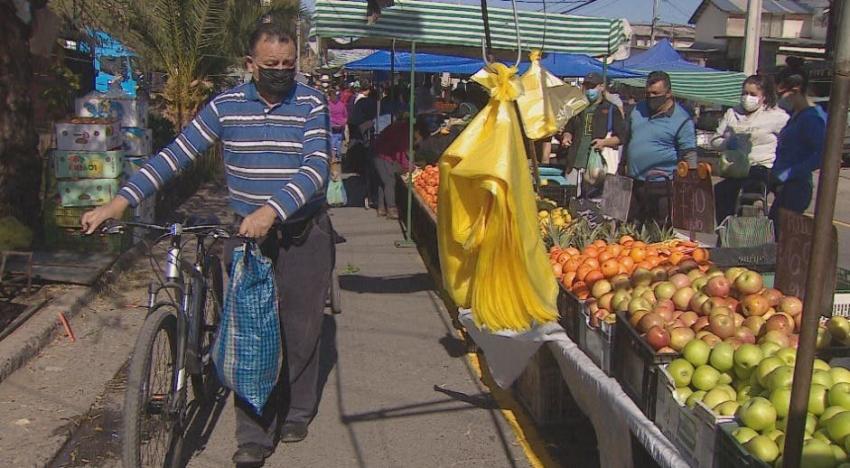 [VIDEO] Bajo estrictas medidas de seguridad vuelven las "renovadas" ferias de Puente Alto