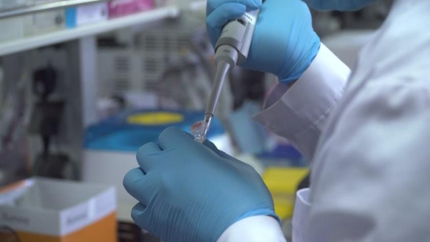 [VIDEO] "Coronavac": la primera vacuna contra el COVID-19 que se probará en Chile