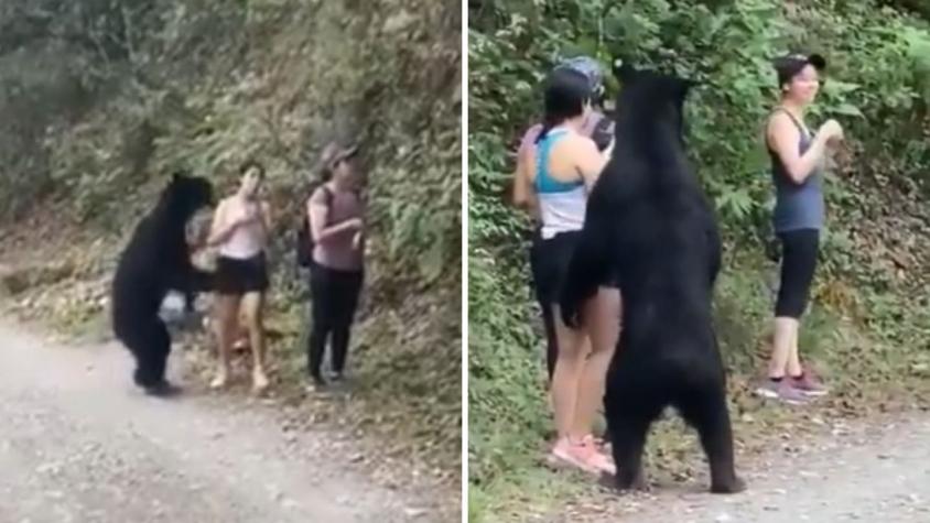 [VIDEO] Hasta se tomaron una selfie: Jóvenes paseaban por un parque y fueron sorprendidos por oso