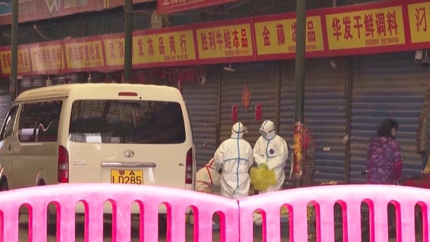 [VIDEO] China en el ojo de los científicos: Los factores para ser "exportador" de pandemias