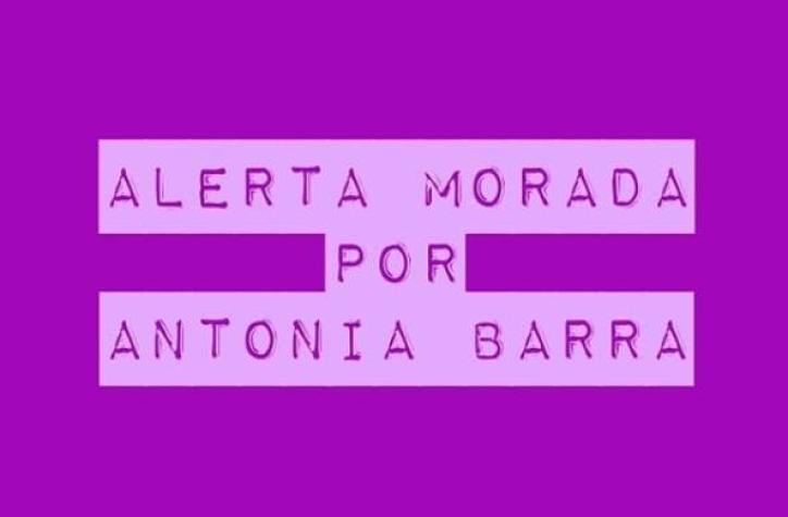 De qué se trata la "alerta morada por Antonia Barra" que se observa en redes sociales