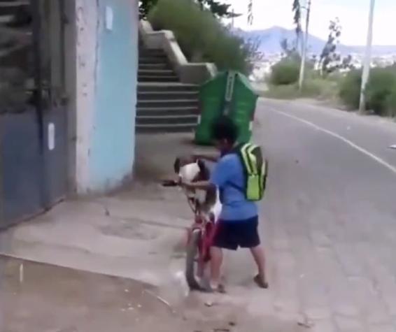 ¡Qué ternura! Niño le pone mascarilla a su perro para protegerlo mientras lo acompaña a comprar