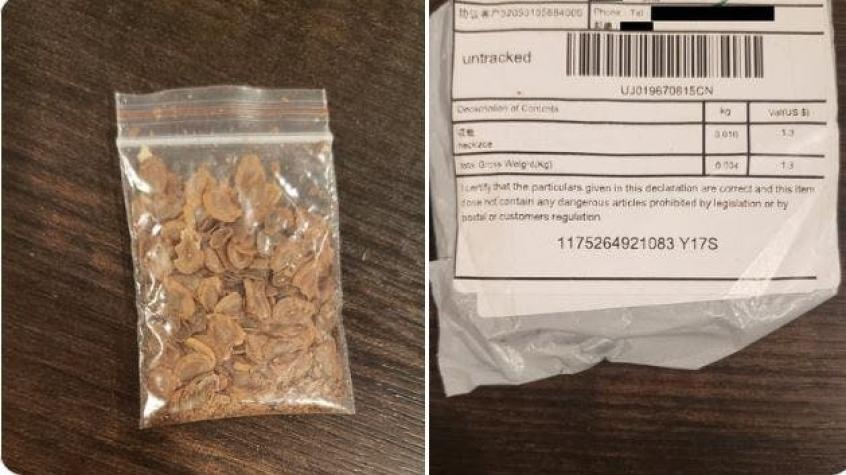 "No abra el paquete": Misteriosas semillas chinas preocupan a autoridades locales de Estados Unidos