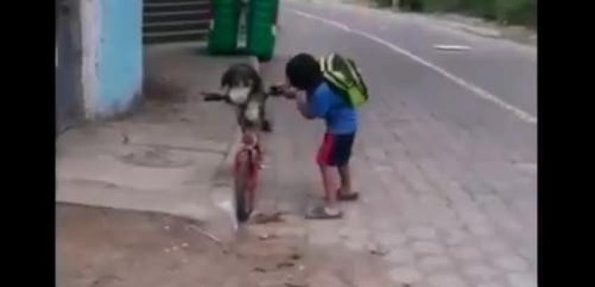 "No quiero que se vaya": La historia detrás del viral donde un niño le pone mascarilla a su perro