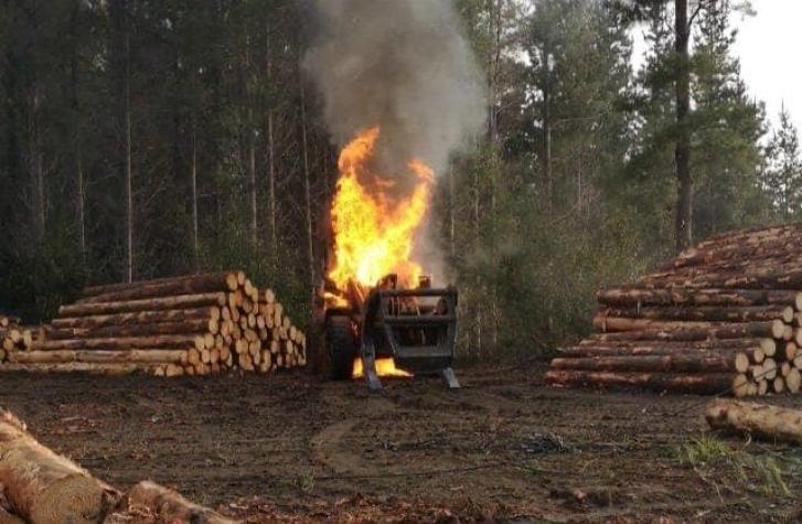 Se registra nuevo ataque incendiario en faena forestal en Cañete