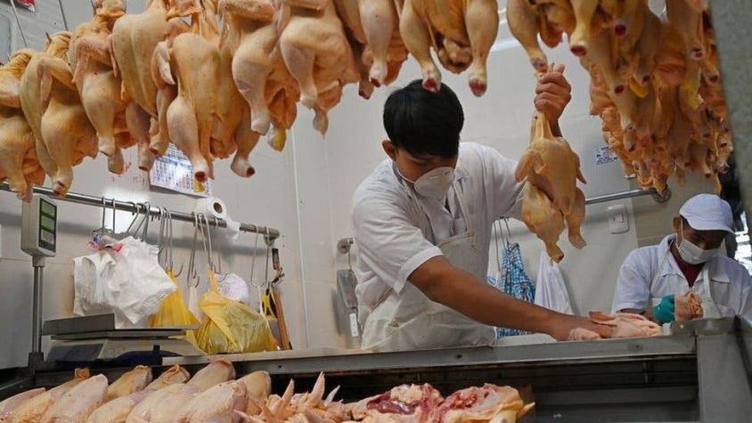 China detecta rastros de COVID-19 en alitas de pollo importadas desde Brasil