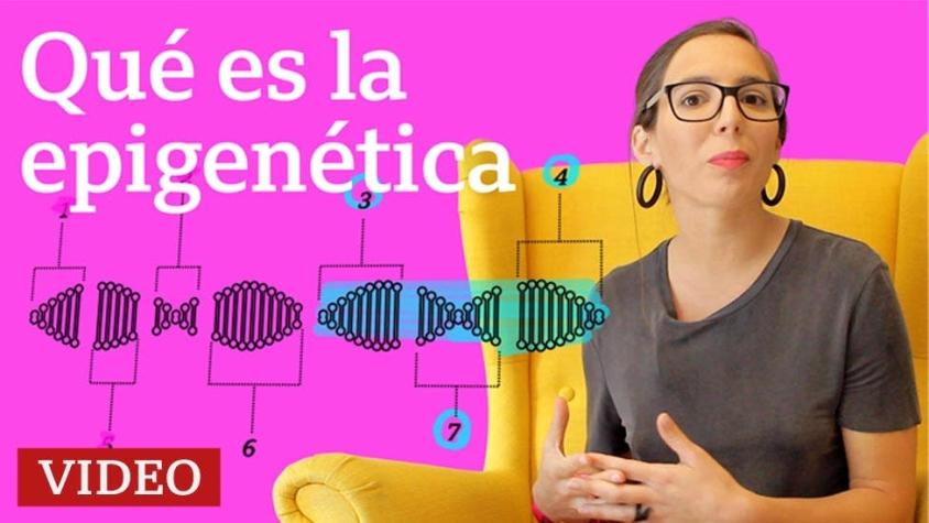 Epigenética: ¿podemos cambiar lo que determinan nuestros genes?